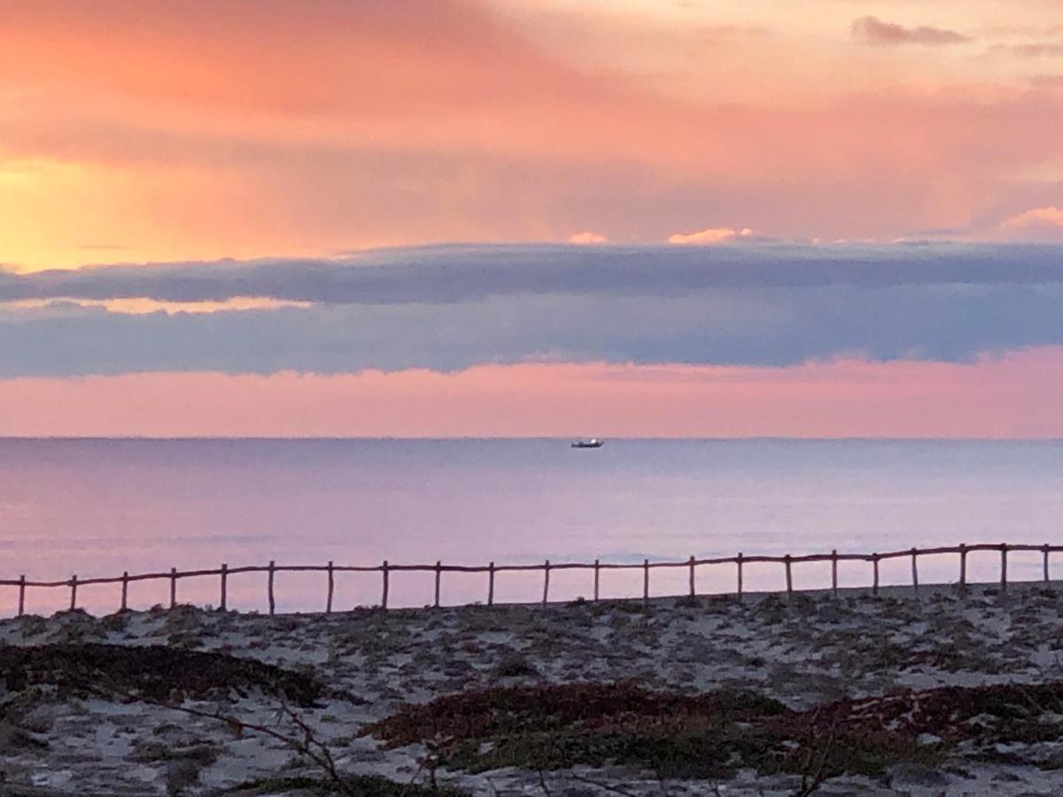 Barcaresa-Villa Sur Le Sable Vue Mer Panoramique Piscine Clim Wifi Le Barcarès Dış mekan fotoğraf