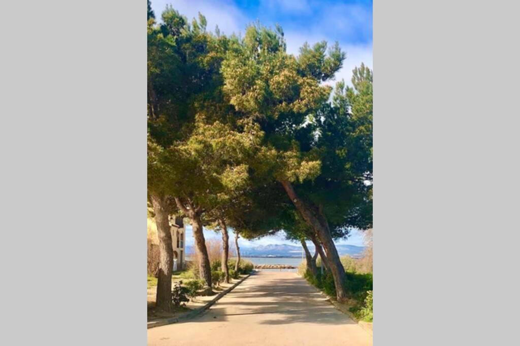 Barcaresa-Villa Sur Le Sable Vue Mer Panoramique Piscine Clim Wifi Le Barcarès Dış mekan fotoğraf